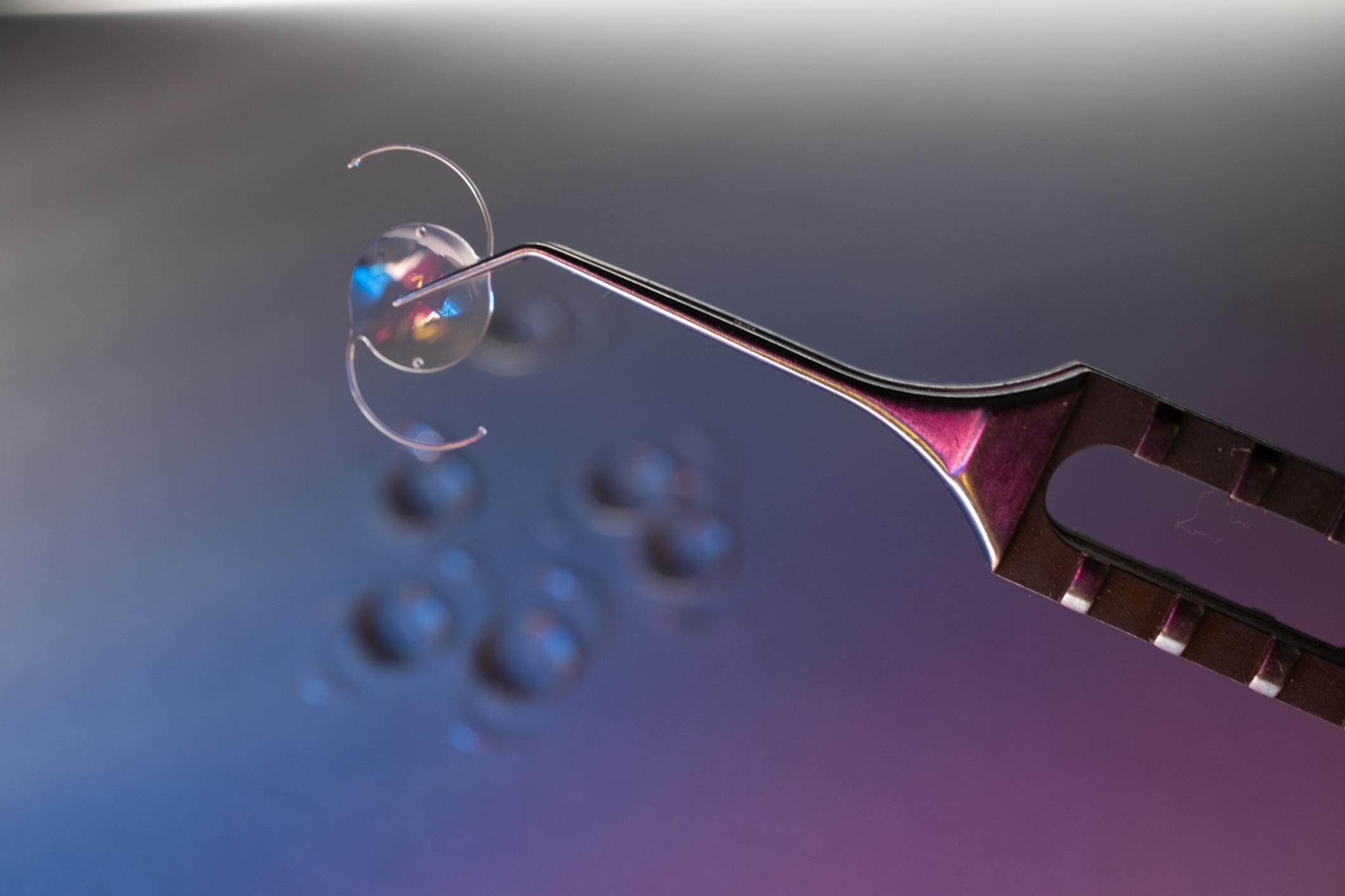 A pair of surgical forceps holding a folded EVO implantable contact lens against a blurred background.