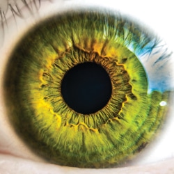 lasik-fears-myth-vs-fact-2-1